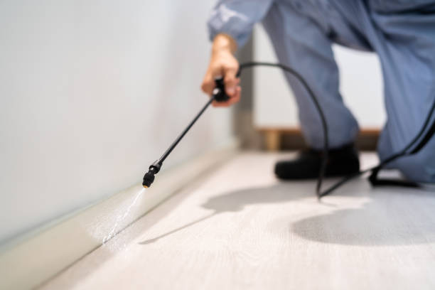 Licensed Termite Control service in Washington, WV - Nex Pest Control