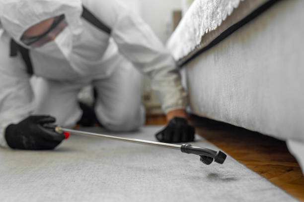 Professional Termite Control technician working in Washington, WV
