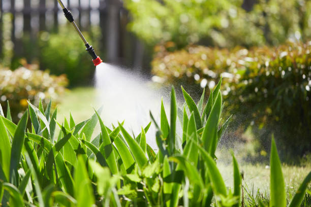 24/7 Emergency Termite Control experts in Washington, WV
