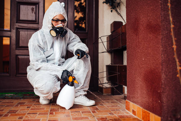 Reliable Termite Control contractor in Washington, WV by Nex Pest Control